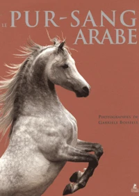 Le pur-sang arabe
