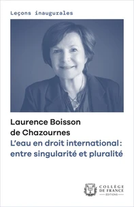L'eau en droit international : entre singularité et pluralité