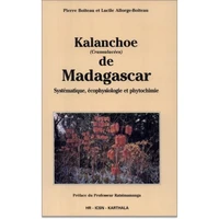 Kalanchoe de Madagascar