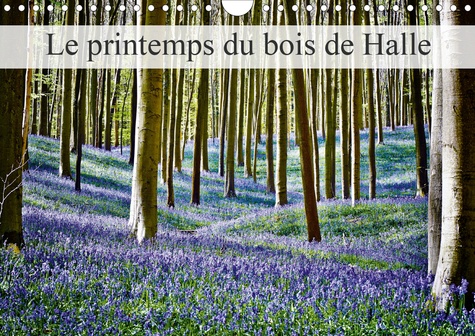 CALVENDO Nature  Le printemps du bois de Halle (Calendrier mural 2020 DIN A4 horizontal). Hallerbos, la forêt féerique (Calendrier mensuel, 14 Pages )