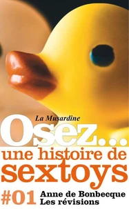 Osez une histoire de sextoys : Les révisions