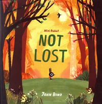 Mini Rabbit not Lost