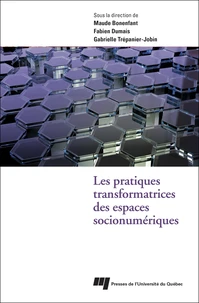 Les pratiques transformatrices des espaces socionumériques