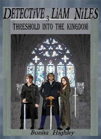 Detective Liam Niles Threshold Into The Kingdom