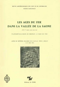 Les âges du fer dans la vallée de la Saône (VIIe - Ier siècles avant notre ère)