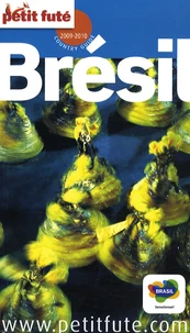 Petit Futé Brésil