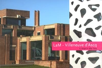 LaM Villeneuve d'Ascq