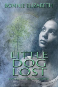 Little Dog Lost