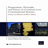 Pragmatism, Principle, and Power in Common Law Constitutional Systems