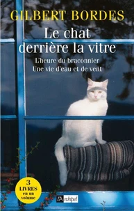 Le chat derrière la vitre