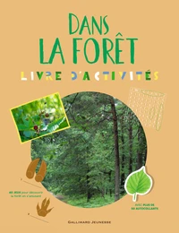 Dans la forêt