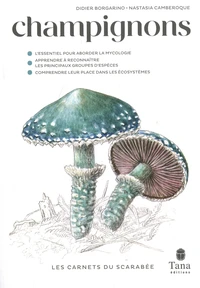 Champignons