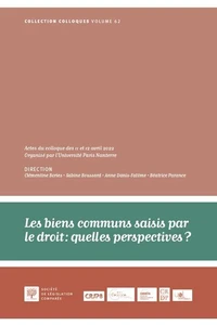 Les biens communs saisis par le droit : quelles perspectives ?