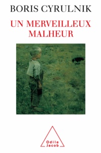 Livre électronique téléchargement gratuit pdf Un merveilleux malheur ePub par Boris Cyrulnik (French Edition)