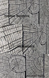 Fragmente