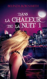 Dans la Chaleur de la Nuit I