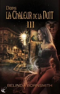 Dans la Chaleur de la Nuit III