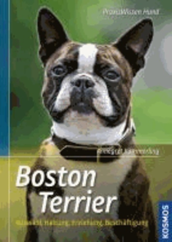 Boston Terrier - Auswahl, Haltung, Erziehung, Beschäftigung.