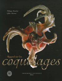 Regard sur les coquillages