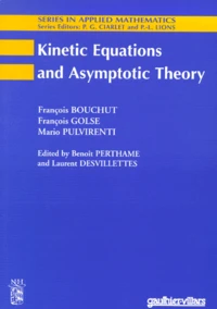 Kinetic Equations and Asymptotic Theory