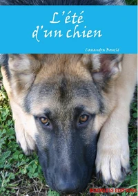 L’été d’un chien