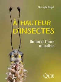 A hauteur d'insectes