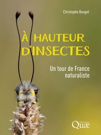 A hauteur d'insectes