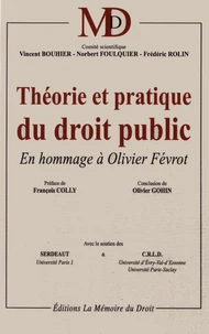 Théorie et pratique du droit public