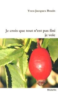 Je crois que tout n'est pas fini je vole