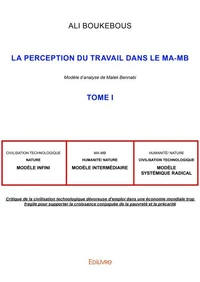 La Perception du travail dans le MA-MB