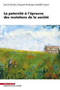 La paternité à l'épreuve des mutations de la société