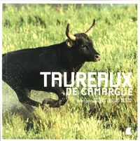 Taureaux de Camargue
