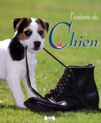 L'univers du chien