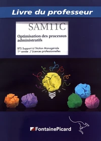 Optimisation des processus administratifs BTS Support à l'action managériale 1re année / licences professionnelles
