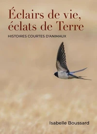 Éclairs de vie, éclats de Terre