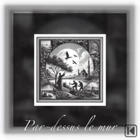 Par-dessus le mur