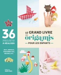 Le grand livre des origamis pour les enfants