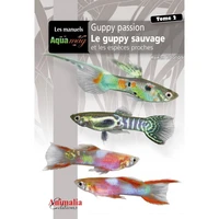Guppy passion