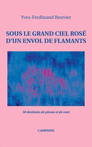 Sous le grand ciel rosé d'un envol de flamants