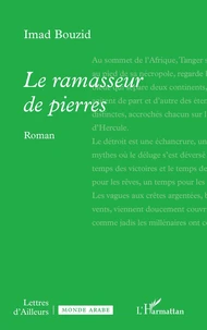Le ramasseur de pierres