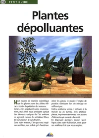 Plantes dépolluantes