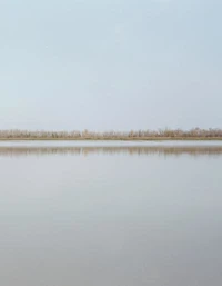 D'une rive à l'autre