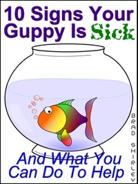 Brad Shirley - 10 Signs Your Guppy Is Sick (And What You Can Do To Help).