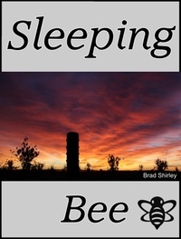  Brad Shirley - Sleeping Bee.