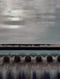 Brad Temkin - Brad Temkin : The State Of Water.