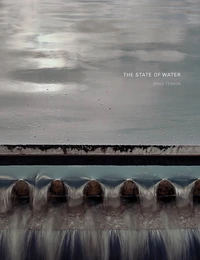 Brad Temkin : The State Of Water