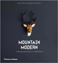 Mountain modern