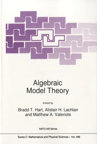 Algebraic Model Theory