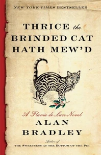THRICE THE BRINDED CAT HATH