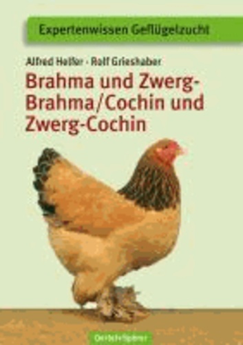 Brahma und Zwerg-Brahma, Cochin und Zwerg-Cochin.